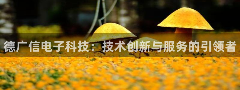 德广信电子科技：技术创新与服务的引领者
