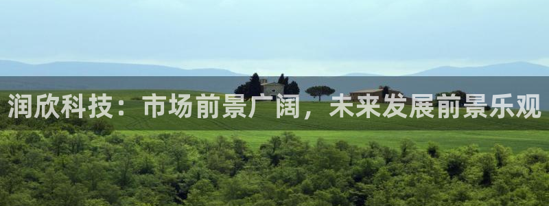 润欣科技：市场前景广阔，未来发展前景乐观