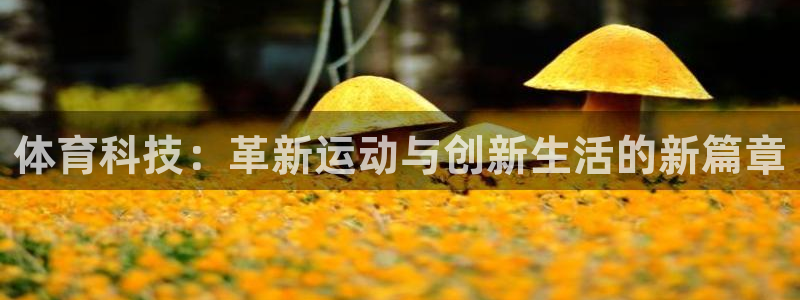 体育科技：革新运动与创新生活的新篇章