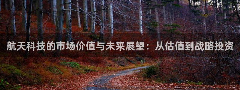 航天科技的市场价值与未来展望：从估值到战略投资
