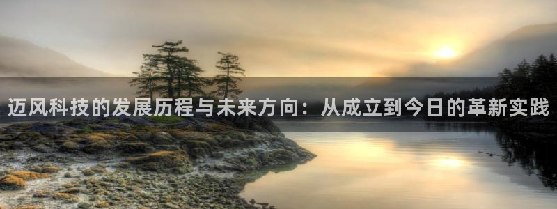 迈风科技的发展历程与未来方向：从成立到今日的革新实践