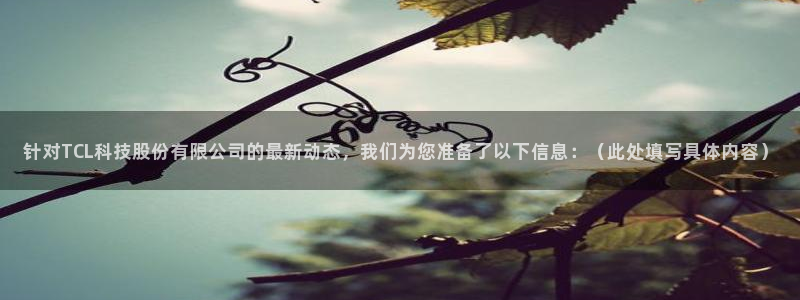 针对TCL科技股份有限公司的最新动态，我们为您准备了以下信息：（此处填写具体内容）