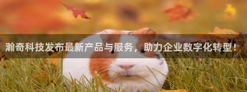 瀚奇科技发布最新产品与服务，助力企业数字化转型！