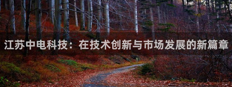 江苏中电科技：在技术创新与市场发展的新篇章