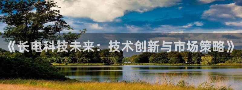《长电科技未来：技术创新与市场策略》