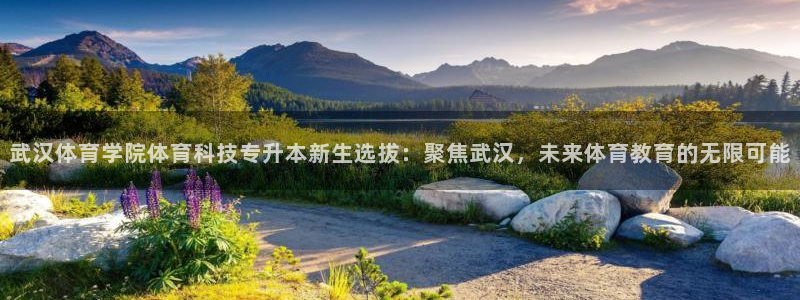 武汉体育学院体育科技专升本新生选拔：聚焦武汉，未来体育教育的无限可能