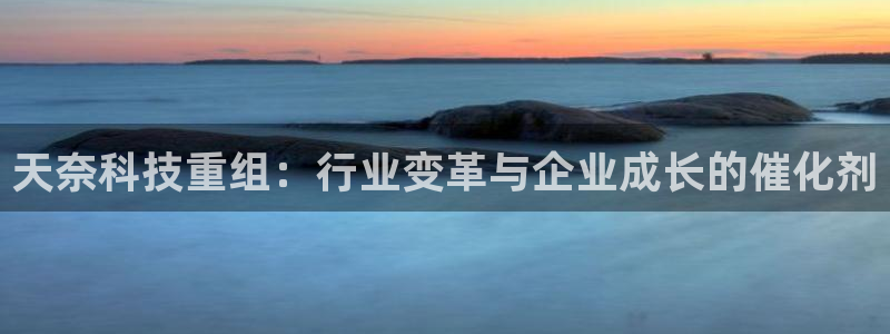 天奈科技重组：行业变革与企业成长的催化剂