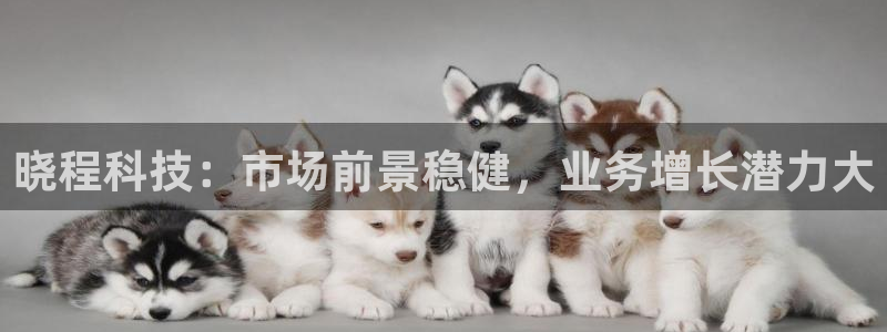 晓程科技：市场前景稳健，业务增长潜力大