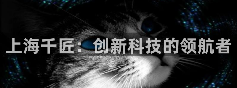 上海千匠：创新科技的领航者